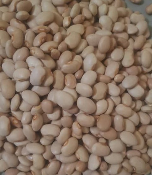 photo_2024-02-10_12-00-30-2-1